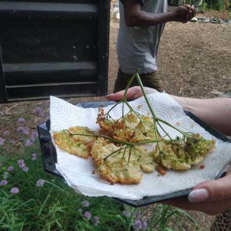 atelier plantes sauvages 