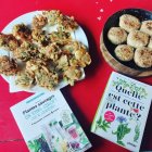 BotaniqueEtCuisineDesPlantesSauvages_imagebf_image_IMG_20230511_120246_649_vignette_600_600_20250313221054_20250313221054.jpg