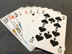 manillecartesjoueur1.jpg